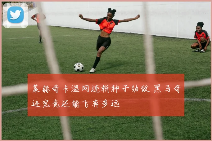 莱赫奇卡温网连斩种子劲敌 黑马奇迹究竟还能飞奔多远