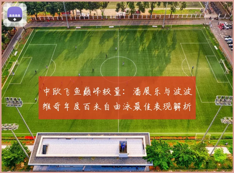 中欧飞鱼巅峰较量:潘展乐与波波维奇年度百米自由泳最佳表现解析