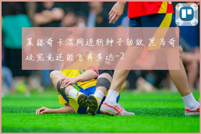 莱赫奇卡温网连斩种子劲敌 黑马奇迹究竟还能飞奔多远